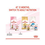 12x Royal Canin Kitten Sterilised Jelly Kattenvoer Nat 85 gr