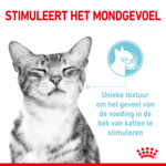 Royal Canin Sensory Multipack Gravy Kattenvoer Nat 12x85 gr