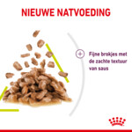 12x Royal Canin Sensory Smell In Gravy Kattenvoer Nat 85 gr