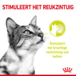 12x Royal Canin Sensory Smell In Gravy Kattenvoer Nat 85 gr