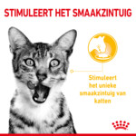 12x Royal Canin Sensory Taste In Gravy Kattenvoer Nat 85 gr