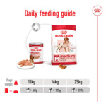 12x Royal Canin Medium Adult Hondenvoer Nat 410 gr