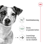 48x Royal Canin Mini Ageing 12+ Hondenvoer Nat 85 gr