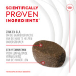 Royal Canin Supplement Skin & Coat 240 gr