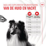 Royal Canin Supplement Skin & Coat 240 gr