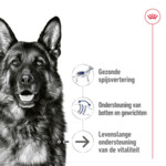 10x Royal Canin Maxi Ageing 8+ Hondenvoer Nat 140 gr