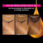 Garnier Olia Permanente Haarkleuring 8.31 Goud Asblond - 16.99 euro
