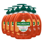 6x Palmolive Handzeep Hygiëne Plus Family Handwash - 24.5 euro