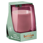 Bolsius Starterkit Cedarwood & Vetiver