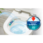Witte Reus Toiletblok Blauw Actief Hygiene - 2.79 euro