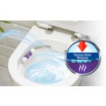 10x Witte Reus Toiletblok Paars Actief - 20.75 euro