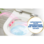 10x Witte Reus Toiletblok De Luxe  Delicate Magnolia - 17.83 euro