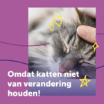 Feliway Help! Starterset Verdamper + Navulling 