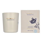 Rituals Amsterdam Scented Candle - 37.89 euro