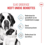 Royal Canin Hondenvoer Droog Mother & Baby Giant Starter 3.5 kg