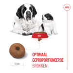 Royal Canin Hondenvoer Droog Mother & Baby Giant Starter 3.5 kg