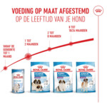 Royal Canin Hondenvoer Droog Mother & Baby Giant Starter 3.5 kg