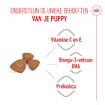 Royal Canin Hondenvoer Droog  X-Small Puppy 500 gr