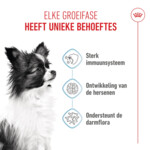 Royal Canin Hondenvoer Droog  X-Small Puppy 1,5 kg