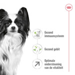 Royal Canin Hondenvoer Droog X-Small 8+ 500 gr