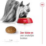 Royal Canin Hondenvoer Droog X-Small 8+ 1,5 kg