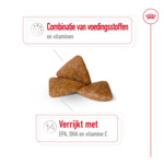Royal Canin Hondenvoer Droog X-Small Ageing 12+ 500 gr