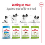Royal Canin Hondenvoer Droog X-Small Ageing 12+ 500 gr