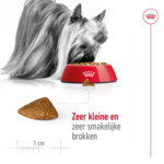 Royal Canin Hondenvoer Droog X-Small Ageing 12+ 1,5 kg
