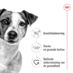 Royal Canin Hondenvoer Droog Mini Adult 2 kg