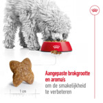 Royal Canin Hondenvoer Droog Mini Adult 2 kg