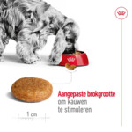 Royal Canin Hondenvoer Droog Medium Adult 10 kg