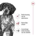 Royal Canin Hondenvoer Droog Medium Ageing 10+ 10 kg