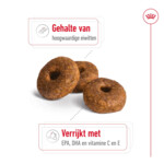 Royal Canin Hondenvoer Droog Medium Ageing 10+ 10 kg