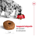 Royal Canin Hondenvoer Droog Medium Ageing 10+ 10 kg