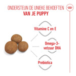 Royal Canin Hondenvoer Droog Maxi Puppy 10 kg