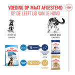 Royal Canin Hondenvoer Droog Maxi Puppy 10 kg