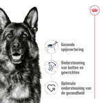 Royal Canin Hondenvoer Droog Maxi Adult 4 kg