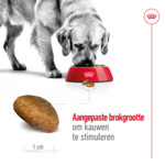 Royal Canin Hondenvoer Droog Maxi Adult 4 kg
