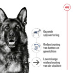 Royal Canin Hondenvoer Droog Maxi Ageing 8+ 3 kg