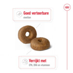 Royal Canin Hondenvoer Droog Maxi Ageing 8+ 3 kg