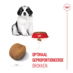 Royal Canin Hondenvoer Droog Giant Puppy 1 kg