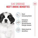 Royal Canin Hondenvoer Droog Giant Puppy 3,5 kg