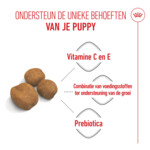 Royal Canin Hondenvoer Droog Giant Puppy 3,5 kg