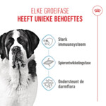 Royal Canin Hondenvoer Droog Giant Junior 3,5 kg
