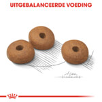 Royal Canin Hondenvoer Droog Light Weight Care Medium 3 kg