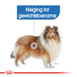 Royal Canin Hondenvoer Droog Light Weight Care Maxi 3 kg