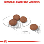 Royal Canin Hondenvoer Droog Digestive Care Mini 1 kg