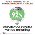 Royal Canin Hondenvoer Droog Digestive Care Mini 8 kg