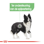 Royal Canin Hondenvoer Droog Digestive Care Medium 3 kg