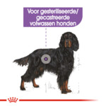 Royal Canin Hondenvoer Droog Sterilised Maxi 3 kg